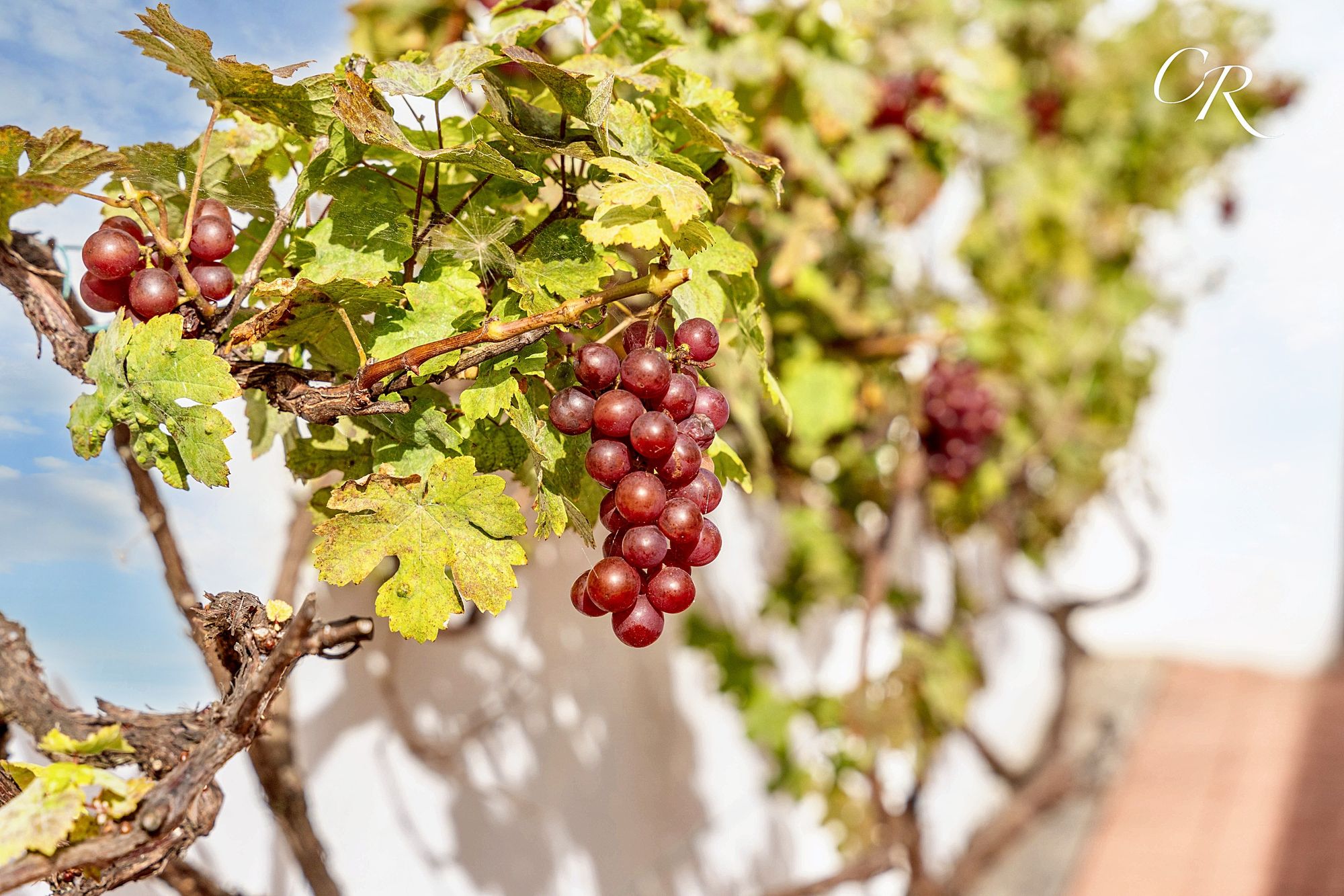 Tewkesbury Road, Uckington