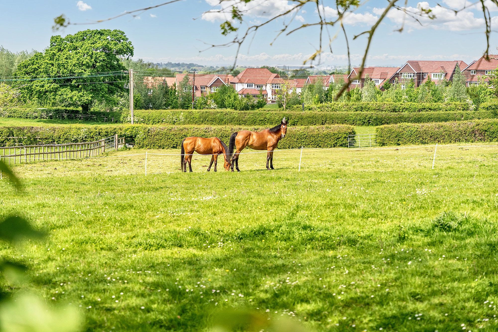 Crippetts Lane, Leckhampton