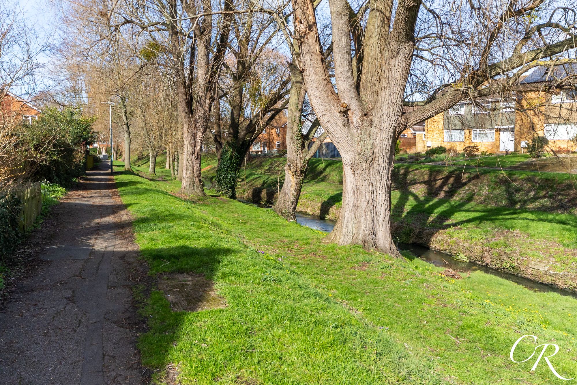 Distel Close, Wyman's Brook